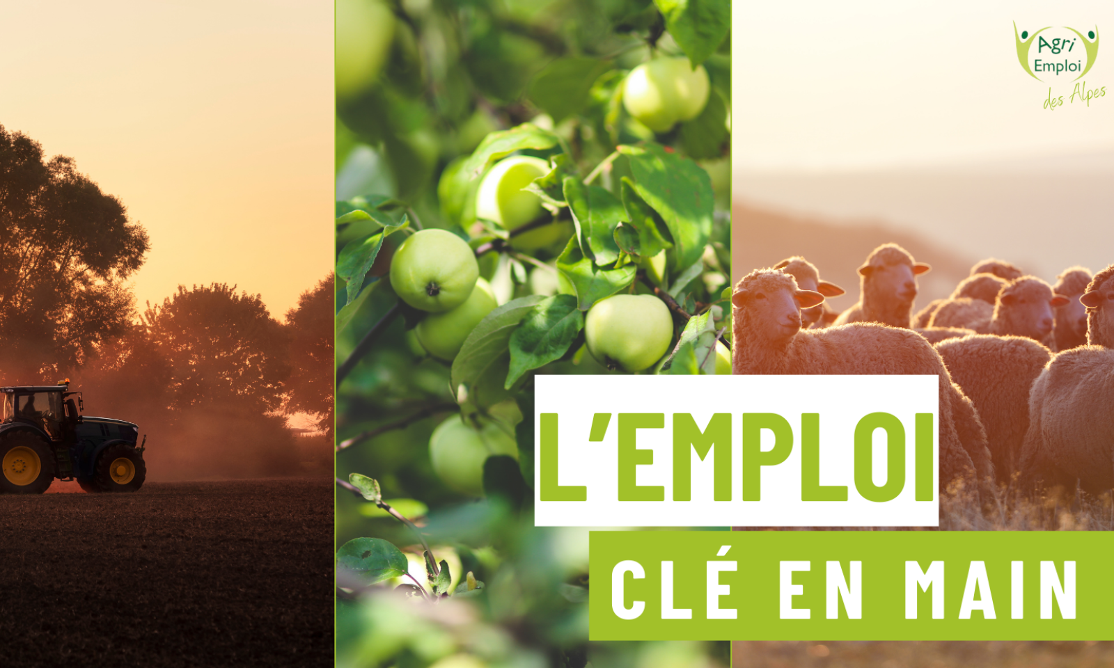Agri Emploi des Alpes, une solution clé en main pour recruter - Chambres d'agriculture Provence-Alpes-Côte d'Azur