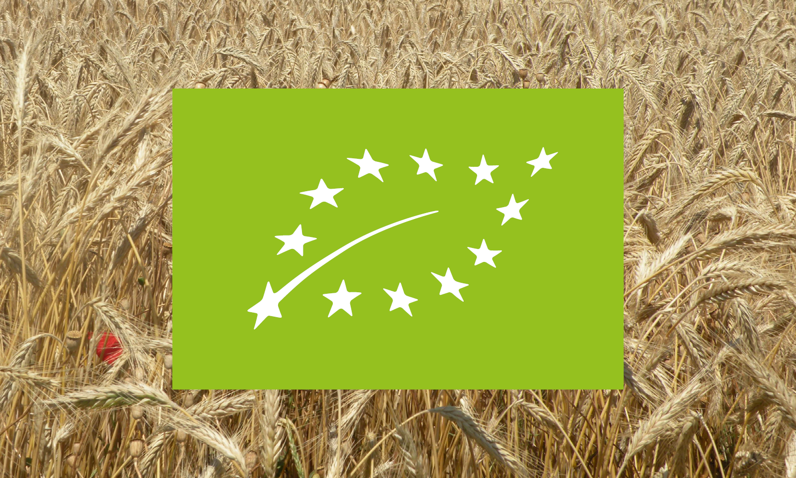Deuxième aide de crise "Agriculture Biologique" - Chambres d'agriculture Provence-Alpes-Côte d'Azur