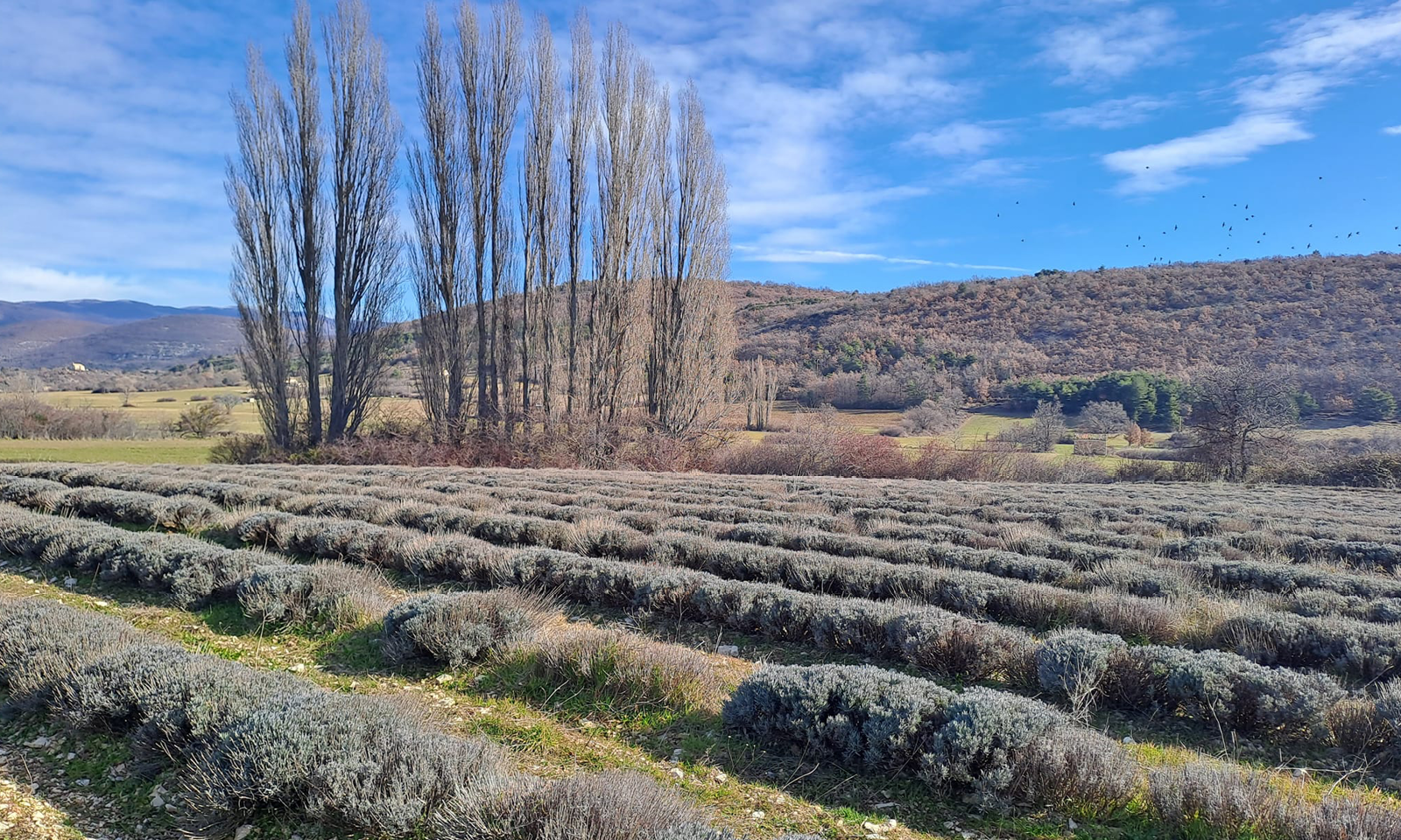 Certification environnementale : Valoriser les bonnes pratiques agricoles - Chambres d'agriculture Provence-Alpes-Côte d'Azur