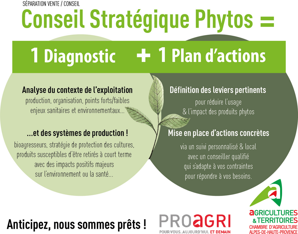 Les bonnes pratiques, ça se partage : Bayer-Agri, conseils phyto