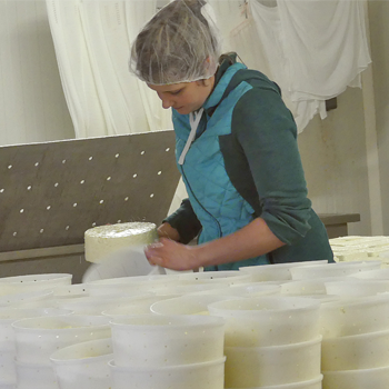 Production laitière : quand transformation locale rime avec valorisation !