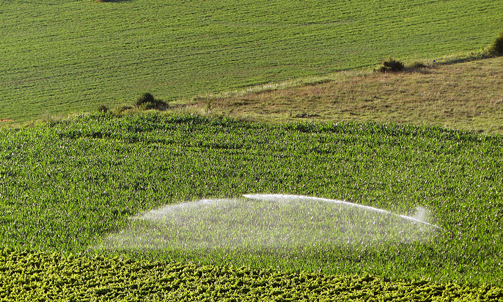 Dossier Irrigation : L'eau, un équilibre toujours fragile - Chambres d'agriculture Provence-Alpes-Côte d'Azur