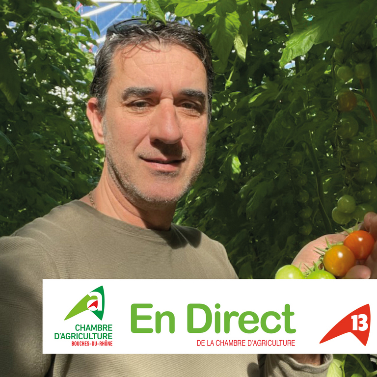 En Direct du 13 : Plan de souveraineté alimentaire 2024 / Réseau DEPHY - Chambres d'agriculture Provence-Alpes-Côte d'Azur