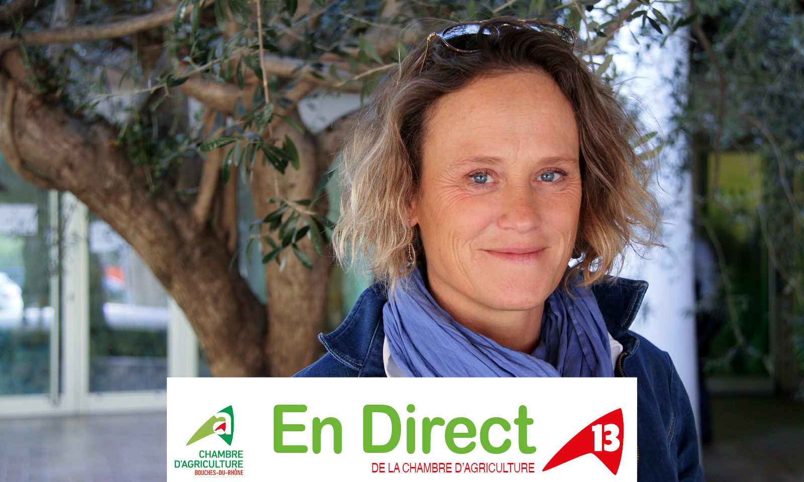 En direct du 13 "ZOOM sur le Pôle Valorisation & Diversification" - Chambres d'agriculture Provence-Alpes-Côte d'Azur