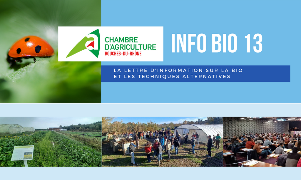 AGRICULTURE BIO : Info Bio 13 vient de paraître (janvier 2024) - Chambres d'agriculture Provence-Alpes-Côte d'Azur