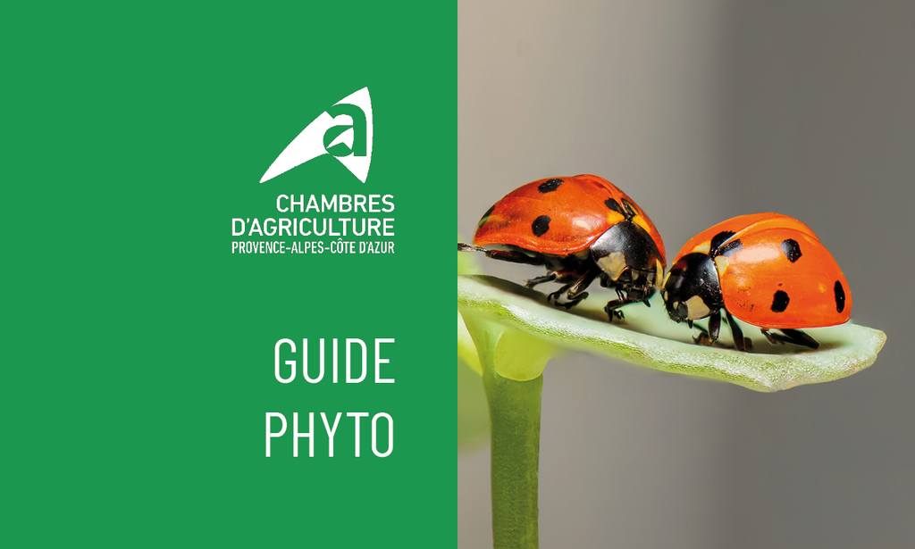 Nouveau : Guide phyto 2024 ! - Chambres d'agriculture Provence-Alpes-Côte d'Azur